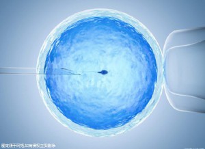 PGT实验室